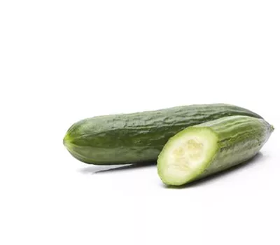 Cucumis sativus Cleopha