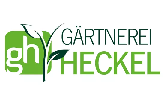 Ipomoea batatas Bright Ideas Lime Ipomoea batatas Bright Ideas Lime